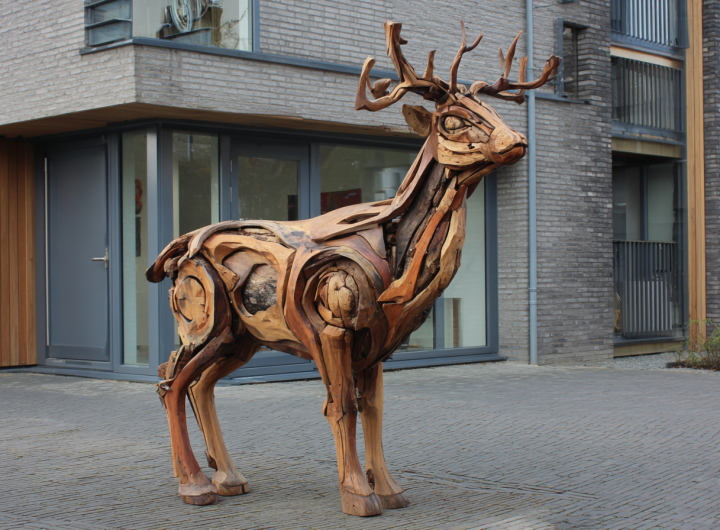 houthandel friesland